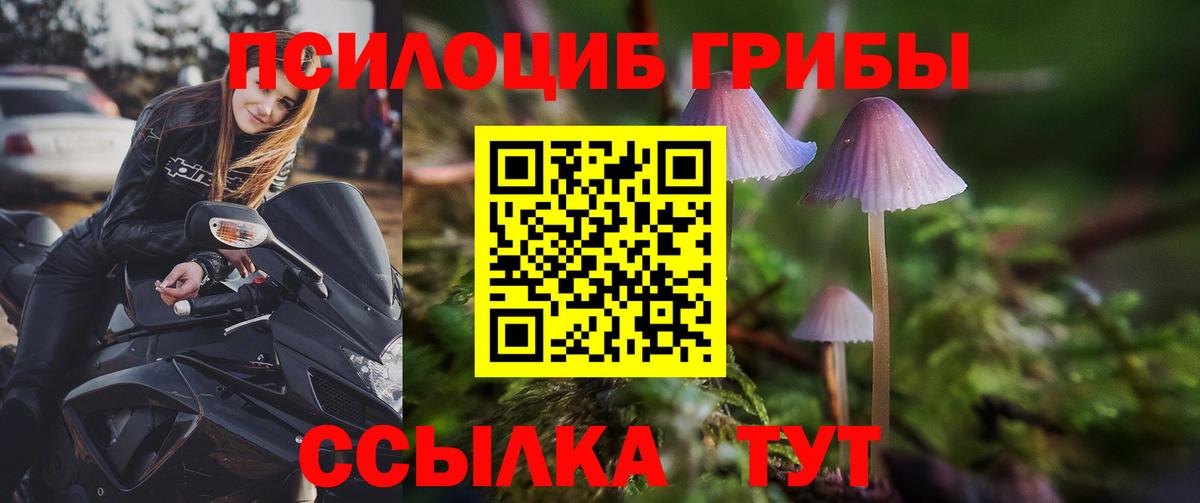 Сибай  Галлюциногенные грибы Magic Shrooms  Вход с VPN 